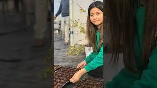Hydroponic seed grow in day-20/day-30 #hydroponics #farming #agriculture #hydroponicfarming #farmer