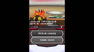 Pokemon Black VS Aloe