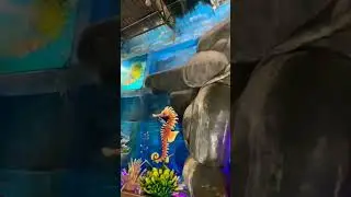 Fantasy!! #shorts #fantasy #fish