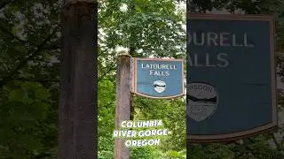 Latourell Falls Oregon | Stunning Waterfall Along the Columbia River Gorge #fyp #shorts #short