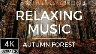 Number Crunching Music | Number Crunching Accounting Music | 4K video for Concentration time
