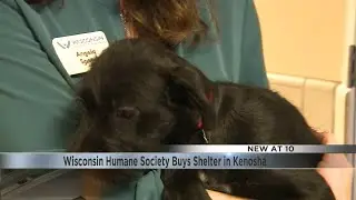 Wisconsin Humane Society expanding