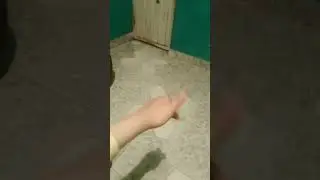 wow🤩
