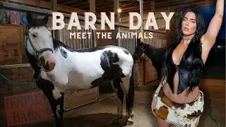 BARN DAY, MEET THE HORSES, BATHE MY HORSE