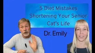 Shortening Your Senior Cat's Life with Diet Mistakes...Dr Emily