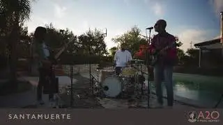 KONOKONO FULL-SET APOLLO20
