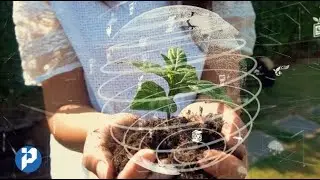 Inteplast Sustainability