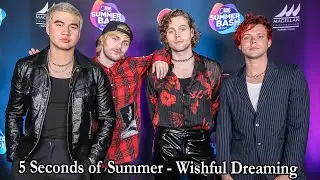 5 Seconds of Summer - Chest (текст песни)