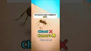 Insta Funny Comments 🤣 #funny #shorts #trending