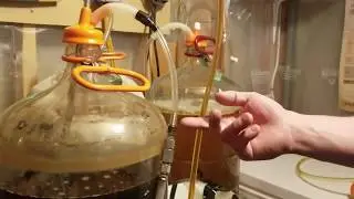 How to Pressure Rack Homebrewed Beer into a Keg