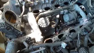 knock sensor 2007 toyota tundra 4.7