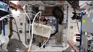 NASA HRP One-Year Mission: Human Factors