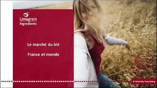 Nouvelle Récolte Blé [2023]