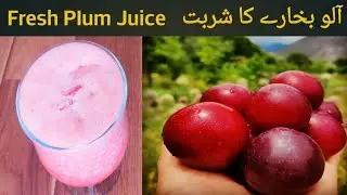 Fresh Plum Juice Recipe ||Aloo Bukhare Ka Sharbat||Super Healthy Summer Drink|| آلو بخارے کا شربت