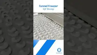 Yurnfreeze IQF Tunnel Freezer Frozen Shrimp