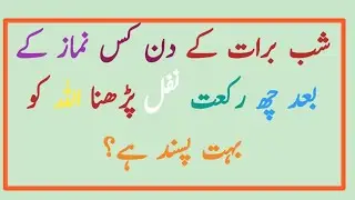 Islamic Question and Answer |Urdu Quiz|Quranic Queries & GK