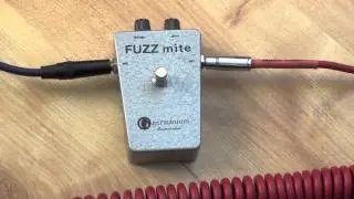 Fuzzmite от Джона Грина (клон Mosrite Fuzzrite)