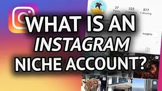 What Is An Instagram Niche Account? (IG Theme Pages)