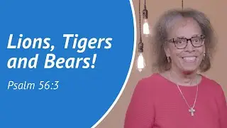 Lions, Tigers, and Bears! - Daily Devotion