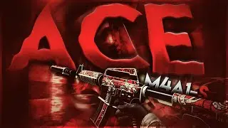 M4A1-S Ace / CS:GO Mirage