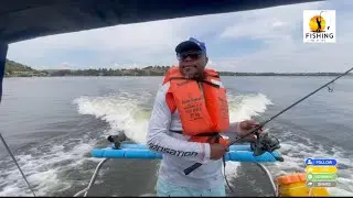 Fish from the boat 