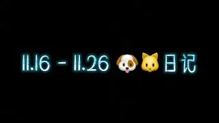 【俊哲日记】23.11.16 - 11.26 🐶🐱日记 —— 《逆风》收官：再见+纸飞机 & 再现日照金山同件帽衫，忽长忽短 & VOGUE盛典：玩梗GJXM 龚俊熊猫？