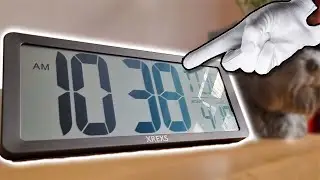 Black Alarm Clock by XREXS