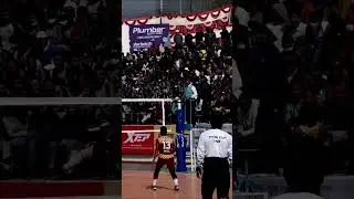 tigercup volleyball