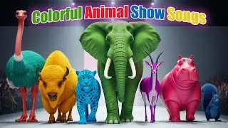 Colorful Animal Show Songs | Animal Colorful | Zazzy Melody