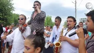 Fratii de Aur - Meriti viata de printesa (LIVE 100%)