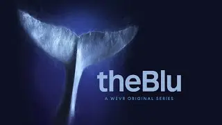 ПОДВОДНЫЙ МИР В VR | КИТЫ, ОСЬМИНОГИ, МЕДУЗЫ И МНОГИЕ ДРУГИЕ!!! | The Blu | #VR #ПодводныйМир