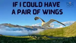 IF I COULD HAVE A PAIR OF WINGS | ICSE SYLLABUS | GRADE 4 | NEW MAGNOLIA ENGLISH READER