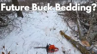 Недорогая древесина + отличный рельеф = идеальное место для вырубки деревьев и обустройства мест ...