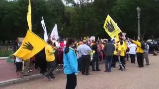 Egyptian protesters marching in front of the White house, P-2