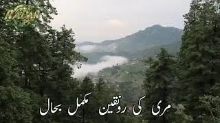 Murree After Lockdown || Life is fully restored after the pendamic || Murree is filled with Tourists