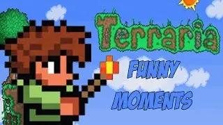 Funny Adventure In Terraria | Funny Moments