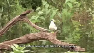 Uakari Lodge - Amaz&ocirc;nia