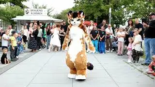 【Fursuit Dance】Luxxy - I-DLE 'QUEENCARD'