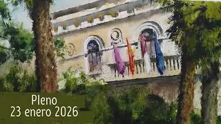Pleno Diputación Guadalajara