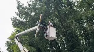 Robert Morris Tree Services, Bucket Truck, Drone Rescue, Lookout Mountain TN 423-802-5979