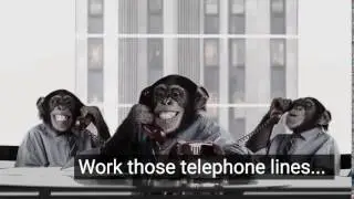 Monkeying Around