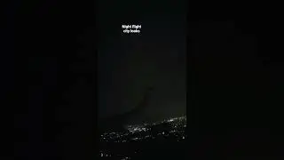 Night flight 🛫catching beautiful city 😲😊#airplane #cityview #travel