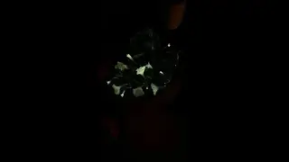 I bought flowers that glow at night! Bioluminescent petunias.