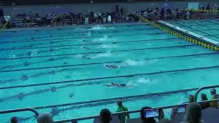 W 100 Freestyle H4/4 (Geelen, Widdows, Simon, Rentz)