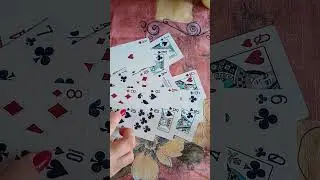 Будет ли Крестовый восстанавливать отношения? Личные расклады ватсап +7-951-204-53-65. 