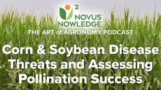 Ep. 7 - Corn and Soybean Disease Threats and Assessing Pollination Success (Video) | N2 Agronomy
