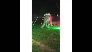 hathi hua baarat m pagel.elephant got mad