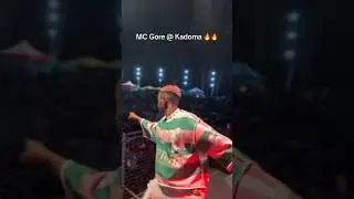 Crowd singing along | MC Gore in Kadoma🔥 #zimdaily #zimcubicle #djgorenggoreng #fyp
