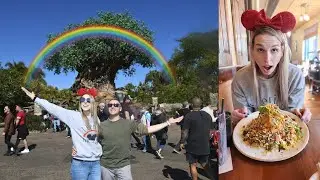 Animal Kingdom Day: Yak & Yeti Lunch + Nomad Lounge | Walt Disney World Vlog | January 2022