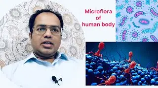 Bacterial and other Microflora in our human body